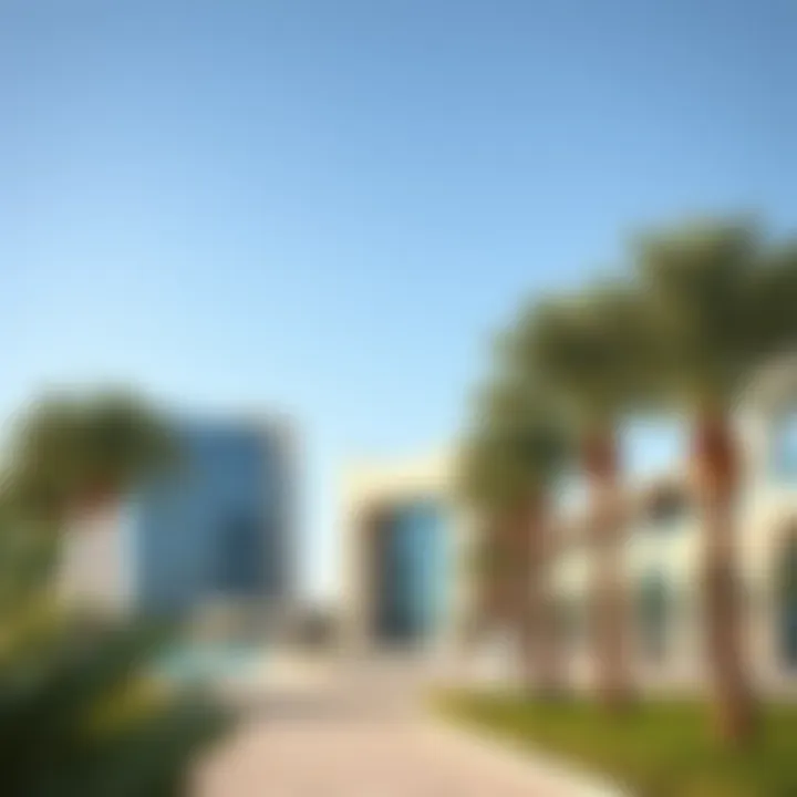 Notable Jebel Ali Palm Project: A Comprehensive Examination
