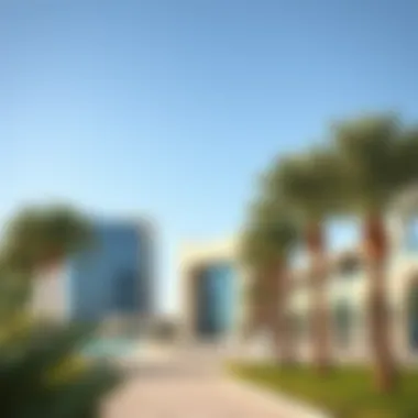 Notable Jebel Ali Palm Project: A Comprehensive Examination Notable Jebel Ali Palm Project: A Comprehensive Examination