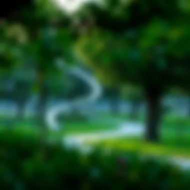 Community park in Jumeirah Garden City