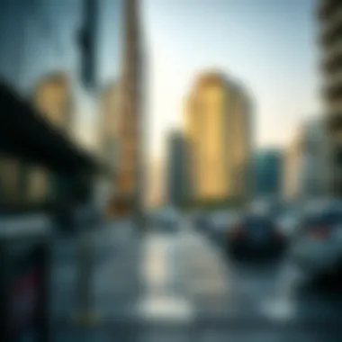 Navigating Business Licenses in Dubai Summary