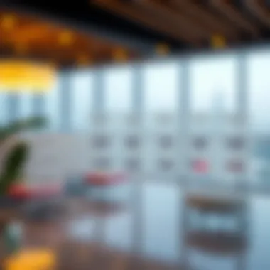 Chart comparing different freelancer visa options available in Dubai