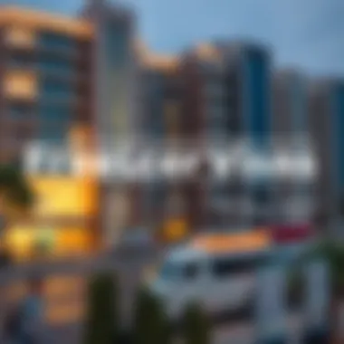 Illustration depicting various freelancer visa categories available