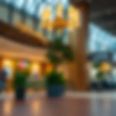 Navigating through online visa platforms with ease