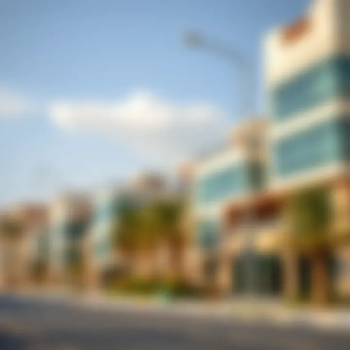 A collage of popular neighborhoods in Dubai highlighting unique characteristics