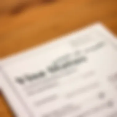 Essential Documentation for Visa Status Check A close-up of official documentation related to visa applications