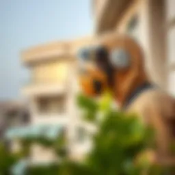 Pest Control Services in Dubai: A Comprehensive Guide Introduction