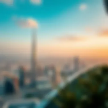 Panoramic View from Dubai's Sky Gardens A panoramic view from a sky garden showcasing Dubai's skyline