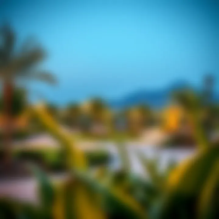 Community Park in الهيلي Community park in الهيلي promoting outdoor activities and social gatherings