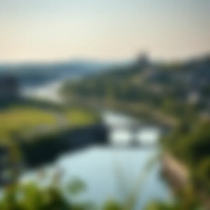 Ecological Challenges in the Danube Region: An Overview Infographic depicting ecological challenges faced by the Danube