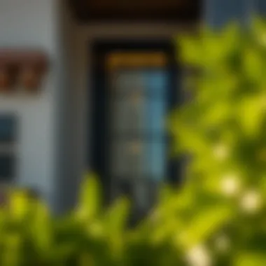 Understanding Customer Protection in the UAE Real Estate Market Summary