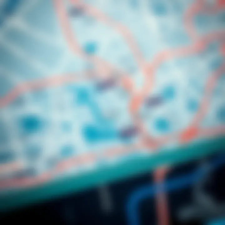 An overview of the Dubai Metro map highlighting key stations