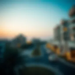 Visual representation of UAE residence permit number significance