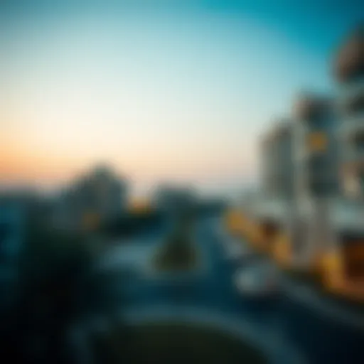 Visual representation of UAE residence permit number significance