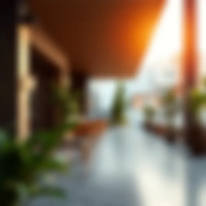 Market Integrity and Regulations Impact of regulations on property market integrity