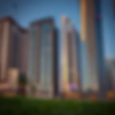Influence on Investors in Dubai Influence of regulatory agencies on investors in Dubai