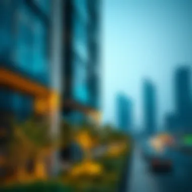 Understanding the Green List in Dubai's Real Estate Market Summary Understanding the Green List in Dubai's Real Estate Market Summary