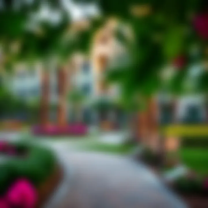 Vibrant Community Park in Rashidiya Community park near villas in Rashidiya