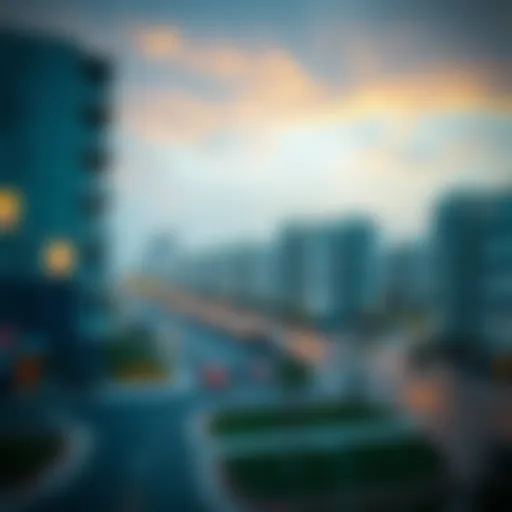 Goals of the Zayed Housing Programme Overview of Zayed Housing Programme goals