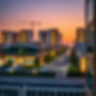 Impact on the Real Estate Market Impact of Zayed Housing on real estate market